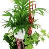 Arrangement für Innen im 11 cm Topf