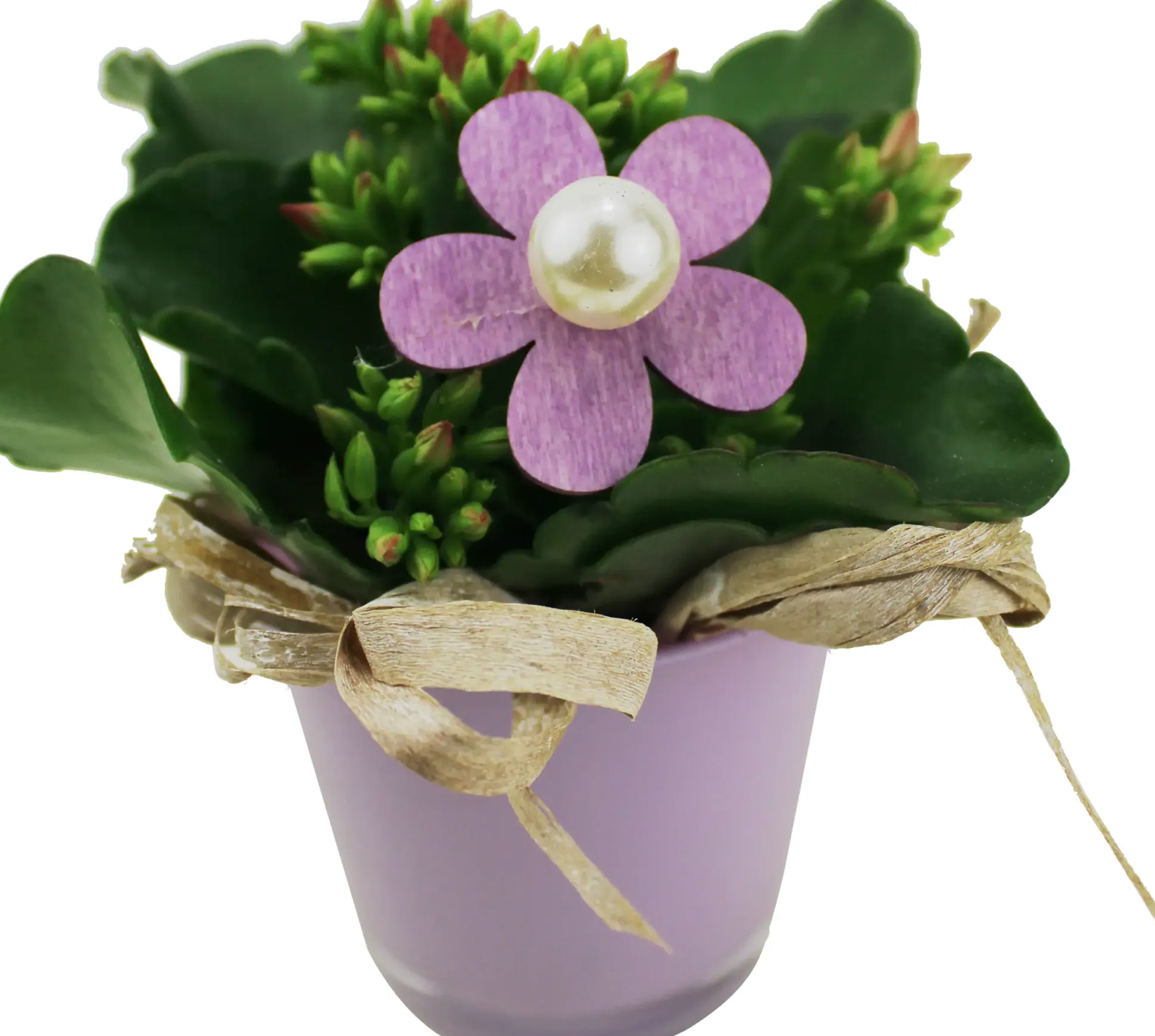 Arrangement für Innen Mini Mix im 7 cm Glastopf