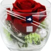 Arrangement Langzeitrose "Long Life", rot im Whiskeyglas mit Deko