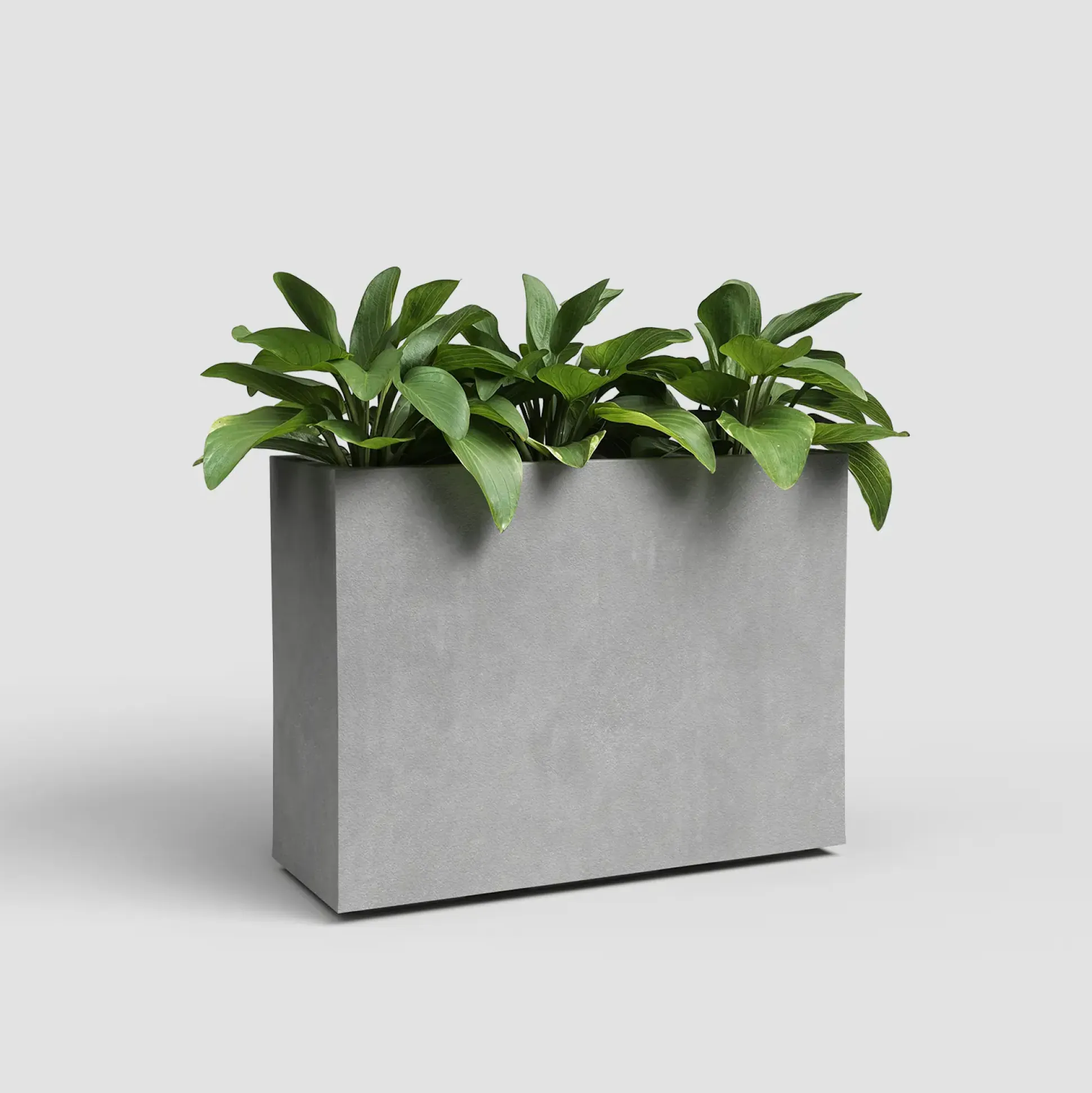 Artevasi Blumenkasten Sydney Kunststoff 80 x 68 cm hellgrau
