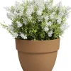 Artevasi Pflanztopf Amália Campana Terrakotta tonrot Ø 32 x 27 cm