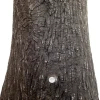 Arves Regentonne Little Tree 250 L braun