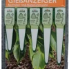 ASB Greenworld Gießanzeiger 5 Stück