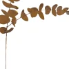 Badeko Topfstecker Eukalyptus 68 cm rostbraun