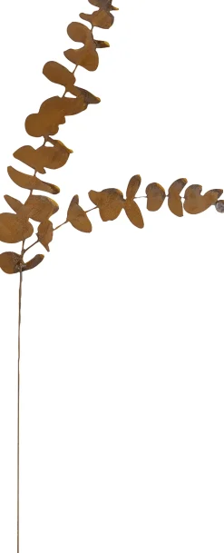 Badeko Topfstecker Eukalyptus 68 cm rostbraun