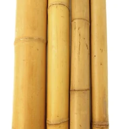 Bambusrohr 180 cm Ø 4/5 cm