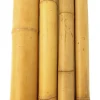 Bambusrohr 180 cm Ø 10/12 cm