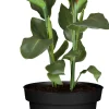 Baum-Strelitzie Strelitzia Reginae H ca. 35 cm 13 cm Topf