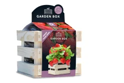 Baza Seeds Garden Box riesige Erdbeere