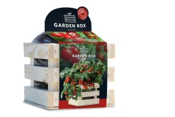 Baza Seeds Garden Box Strauchtomate Minibel