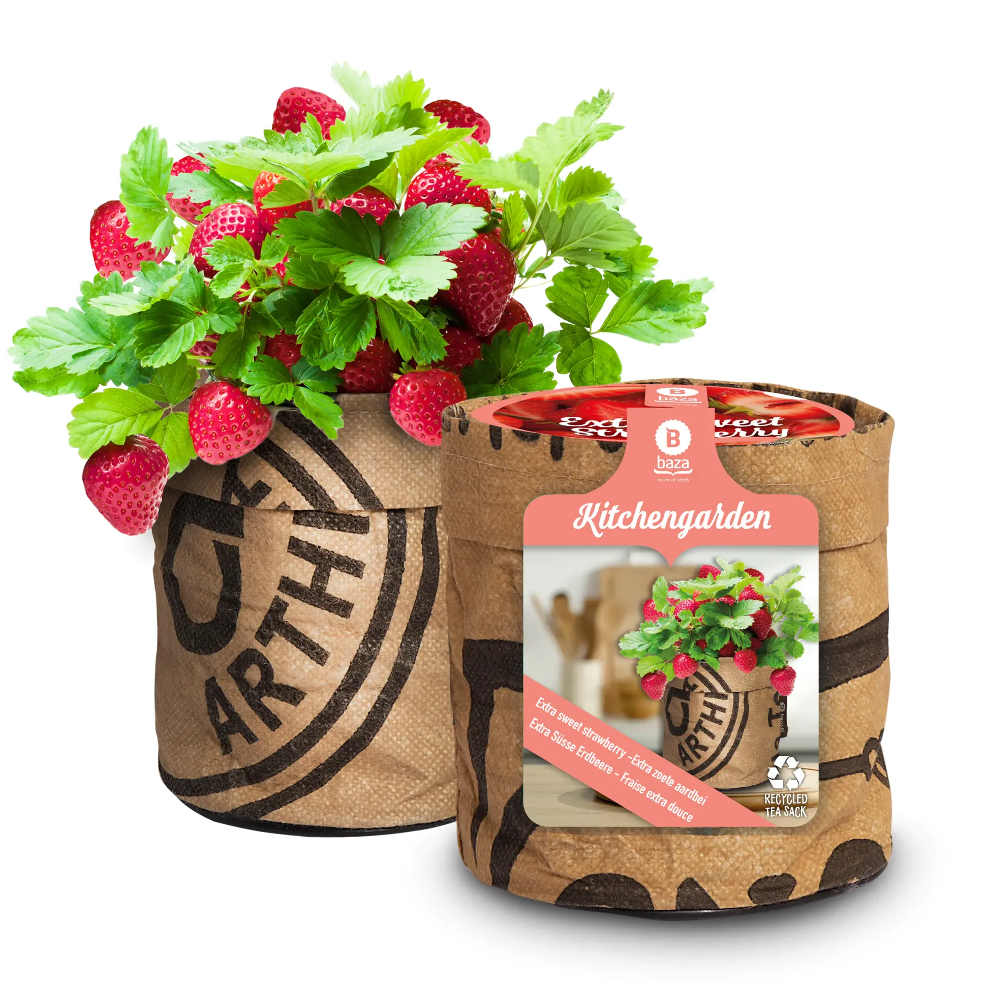 Baza Seeds Küchengarten extra süße Erdbeere