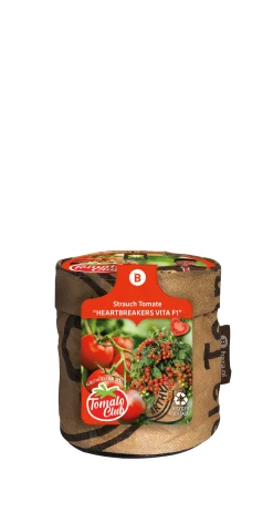 Baza Seeds Kitchengarden Strauchtomate Heartbreakers Vita F1