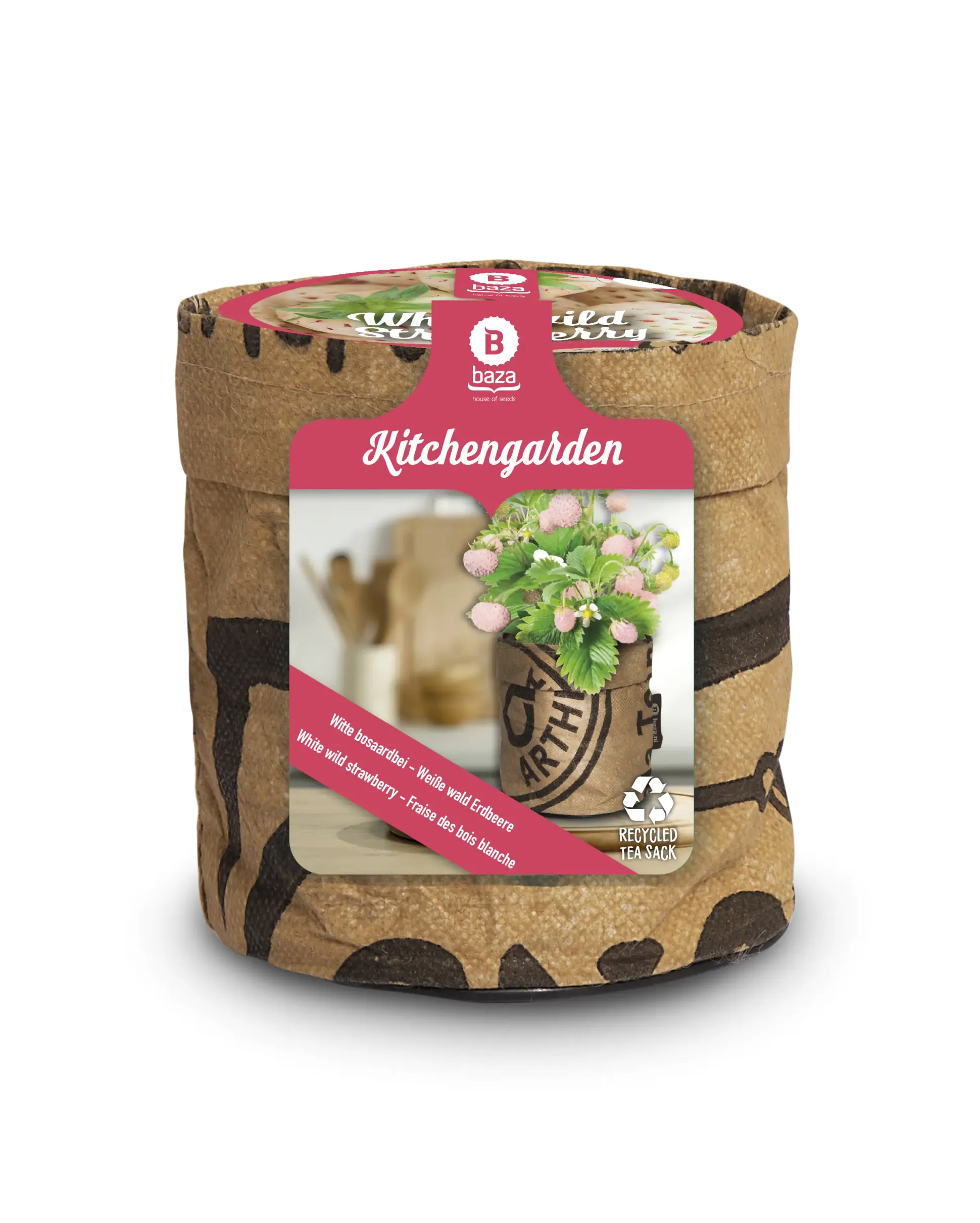 Baza Seeds Kitchengarden Walderdbeere weiß