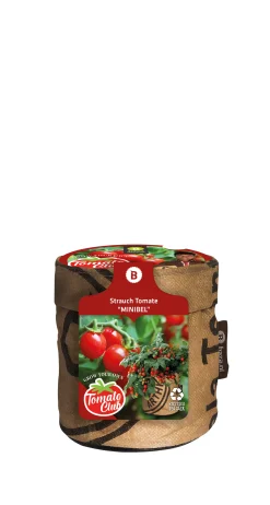 Baza Seeds Kitchengarden Strauchtomate Minibel