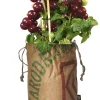 Baza Seeds Tomato Club Bio Tomate Black Cherry