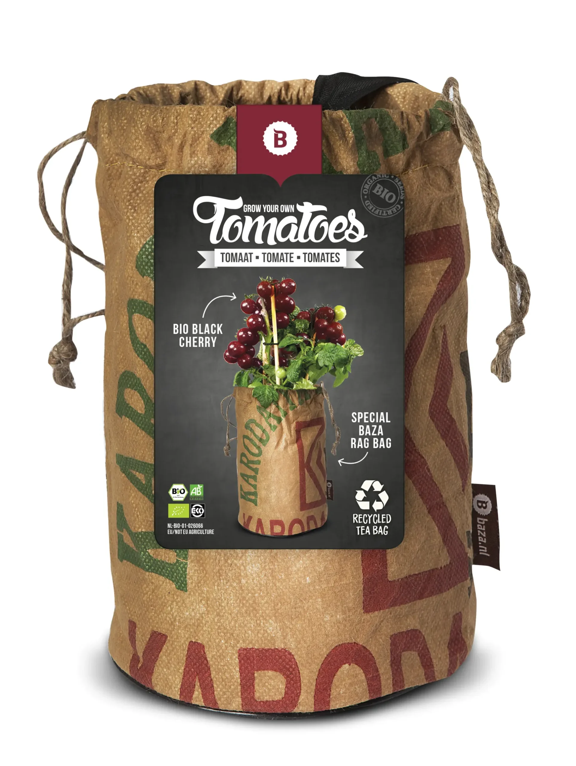 Baza Seeds Tomato Club Bio Tomate Black Cherry