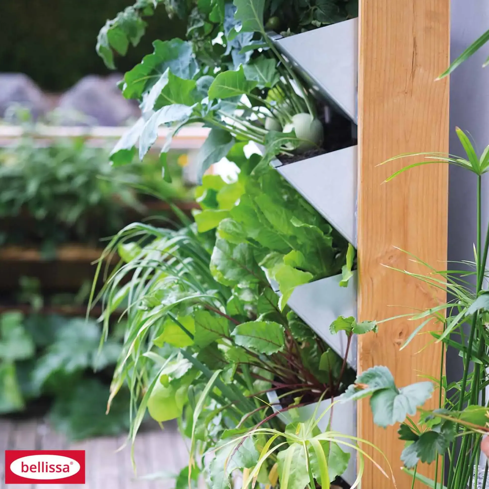 Bellissa Hochbeet Inalto L8 -100 x 32 x 180 cm