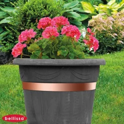 Bellissa Schneckenband 500 x 3 cm