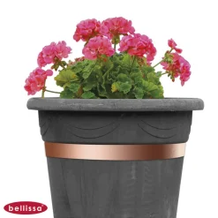 Bellissa Schneckenband 500 x 3 cm