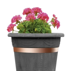 Bellissa Schneckenband 500 x 3 cm