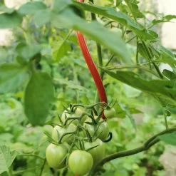 Bellissa Tomatenspirale COLORATA 110, 4 x 4 x 110 cm, rot