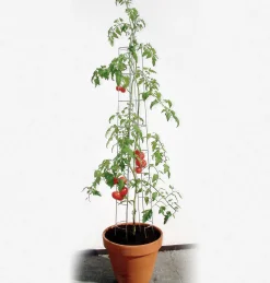Bellissa Tomatenturm 180cm 180 cm hoch
