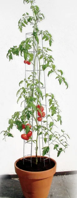 Bellissa Tomatenturm 120cm 120 cm hoch