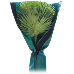 Bio Green Palmenschutz Höhe 150 cm Stamm Ø bis 35 cm