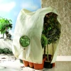 Bio Green Pflanzensack Window Jumbo 200 x 240 cm, natur