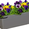 Blumenkasten Venezia 50 cm, anthrazit