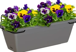 Blumenkasten Venezia 50 cm, anthrazit
