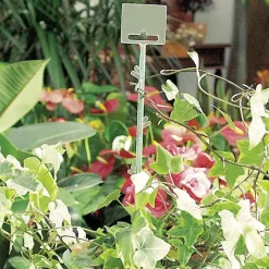 Blumenstab 70 cm