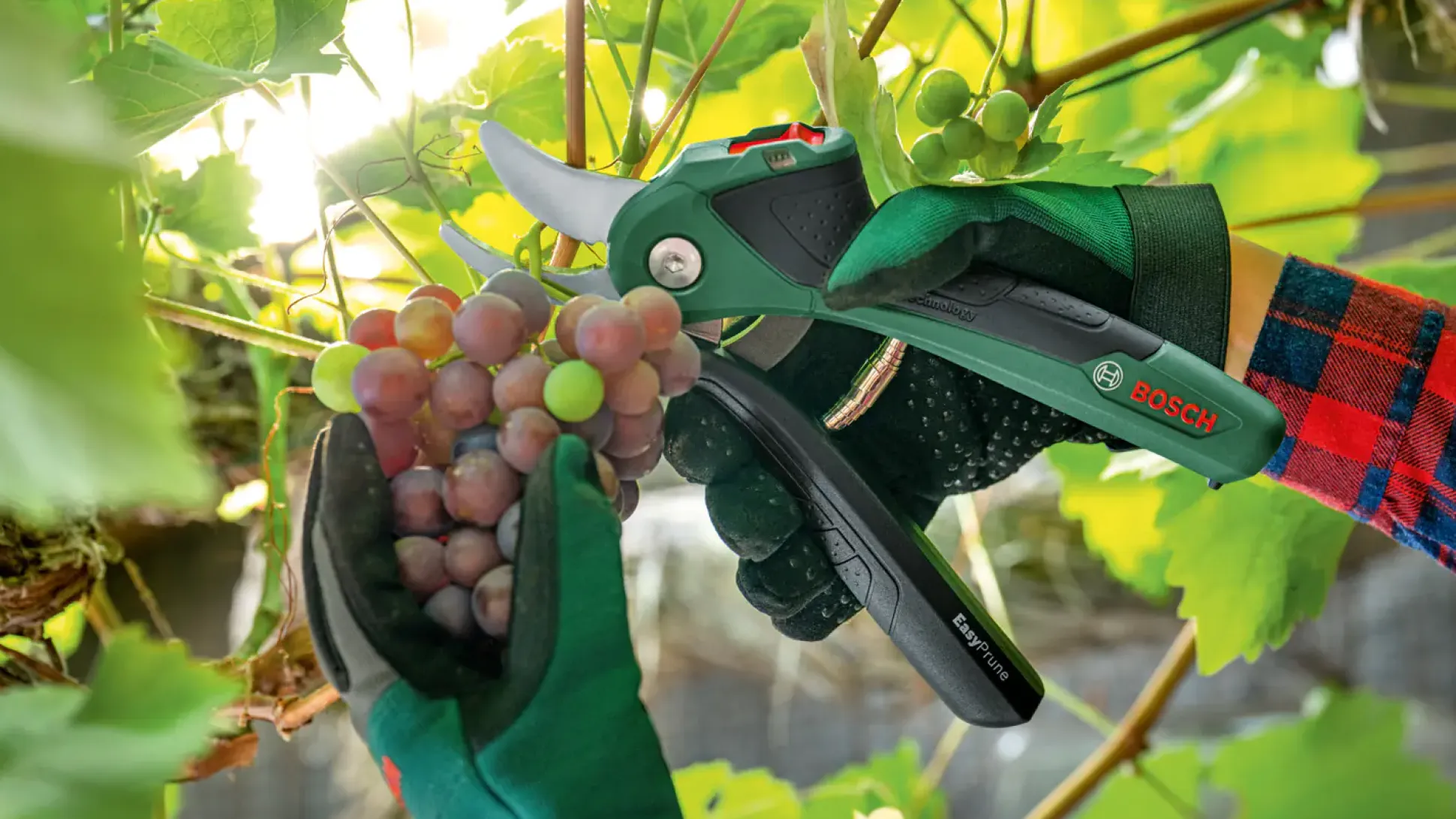 Bosch Akku-Gartenschere EasyPrune inkl. Ladekabel