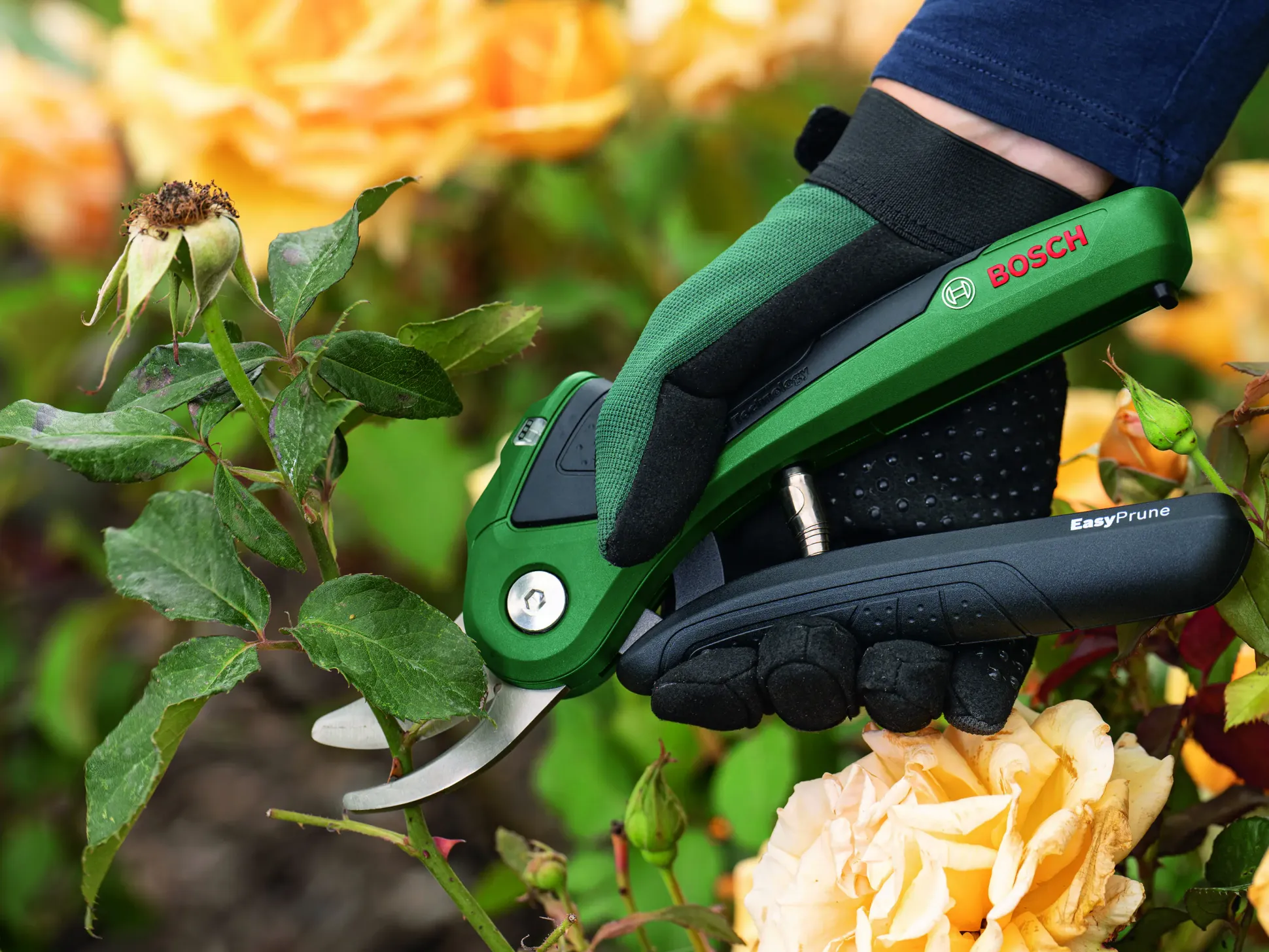 Bosch Akku-Gartenschere EasyPrune inkl. Ladekabel