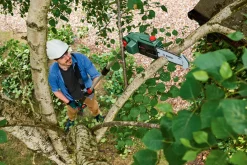 Bosch Akku-Teleskop-Hochentaster UniversalChainPole 18 Solo inkl. Kettensägenöl & Sägekette