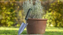 Bosch Pflanzkelle 8 cm Arbeitsbreite