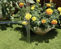 Canopia Gewächshaus Balance Alu silber 367 x 244 cm