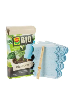 Compo Bio Blausticker gegen Thripse 10 Stück