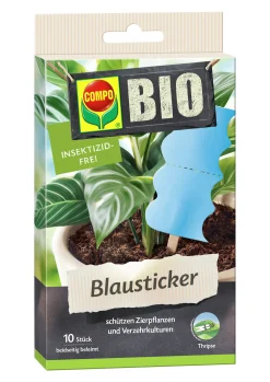 Compo Bio Blausticker gegen Thripse 10 Stück