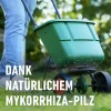 Compo Rasendünger Turbo 5 kg