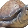 Dekofigur Wasserschildkröte 12 x 35 x 28 braun