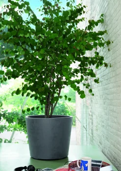 Deroma Pflanztopf Millennium Kunststoff 59 cm aschgrau mit Ablauflöchern