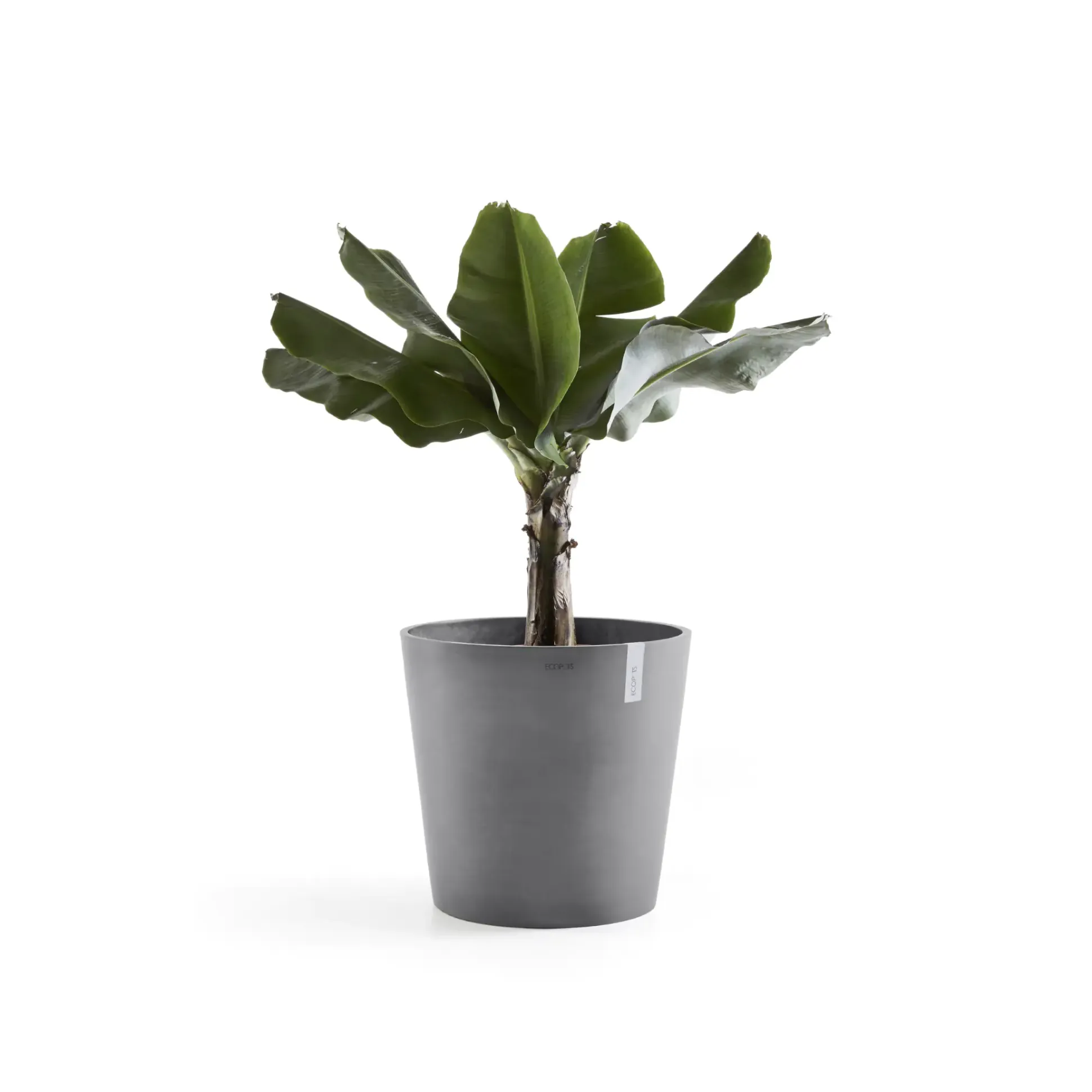 Ecopots Pflanztopf Amsterdam Ø 50 x 43,8 cm grau
