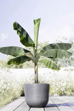 Ecopots Pflanztopf Oslo Ø 45 x 39,2 cm grau