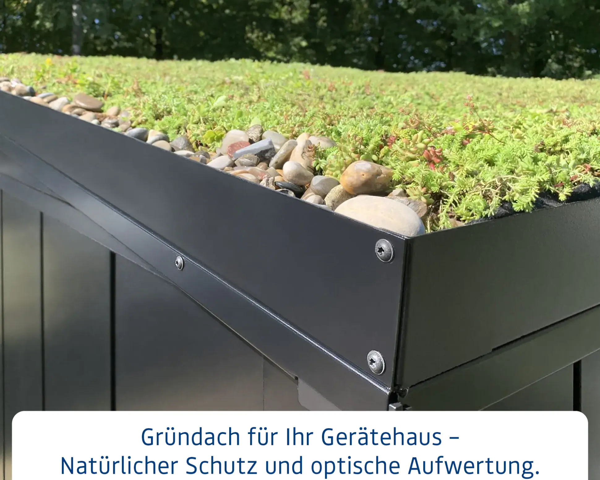 EcoStar Dachrahmen für Gründach Pultdach Typ 3 grau