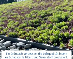 EcoStar Dachrahmen für Gründach Pultdach Typ 2 grau