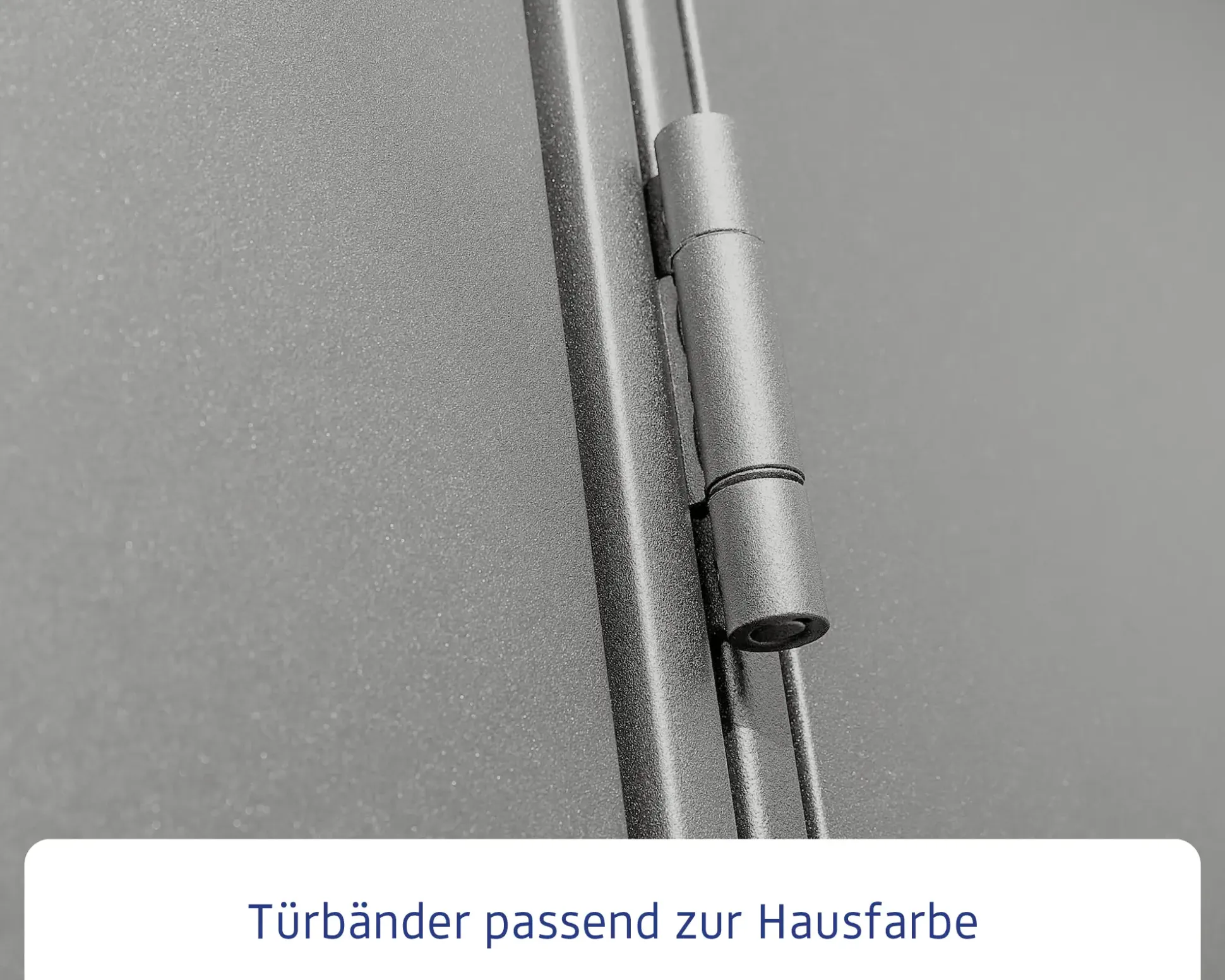 EcoStar Gerätehaus Elegant-S Typ 2 graualuminium 1 flg 258,8 x 247,7 cm