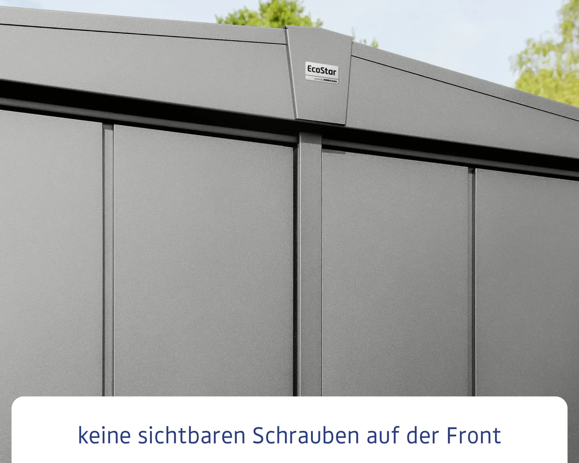 EcoStar Gerätehaus Elegant-S Typ 2 graualuminium 1 flg 258,8 x 247,7 cm
