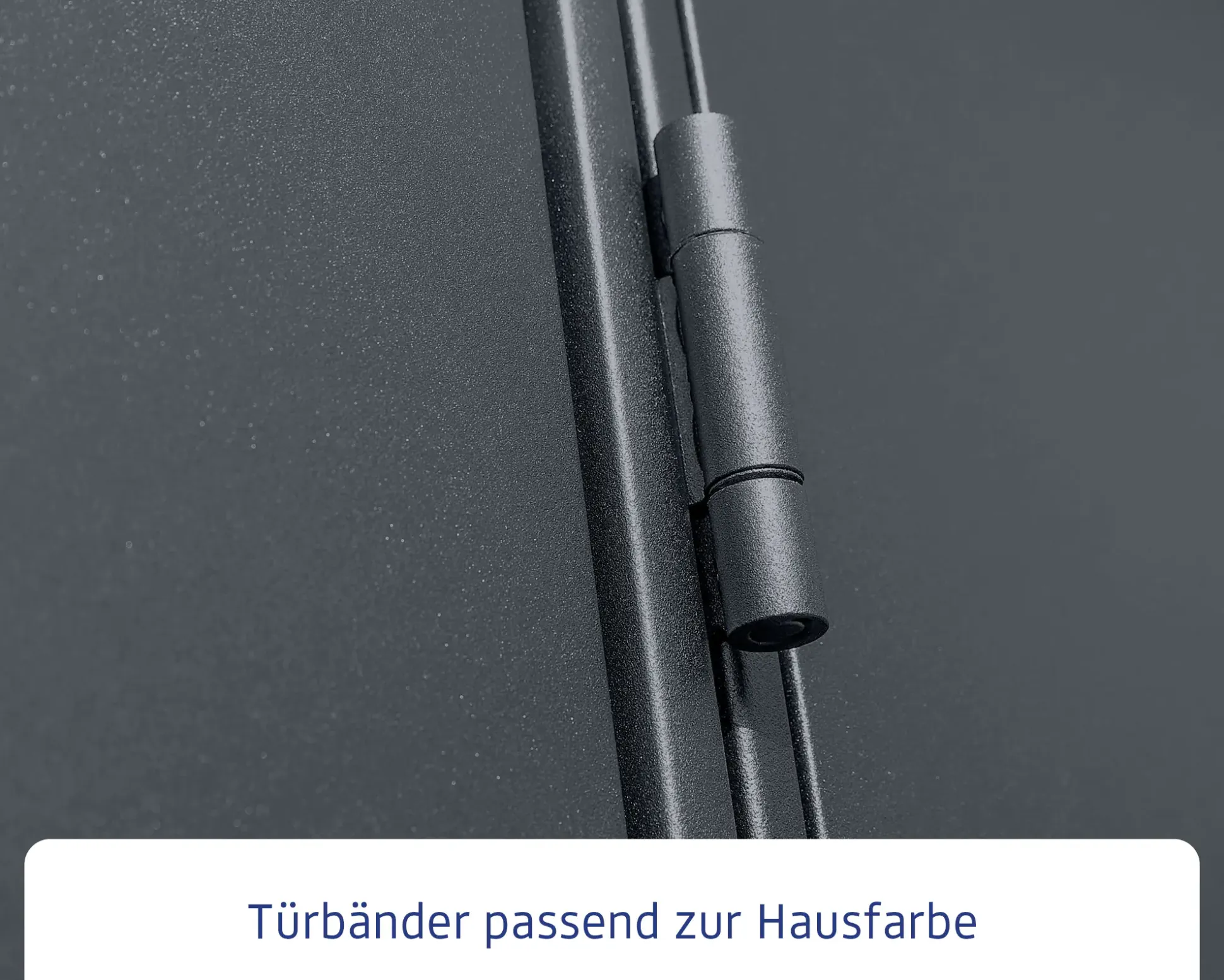 EcoStar Gerätehaus Elegant-P Typ 1 anthrazitgrau 247,9 x 153 x 228,6 cm