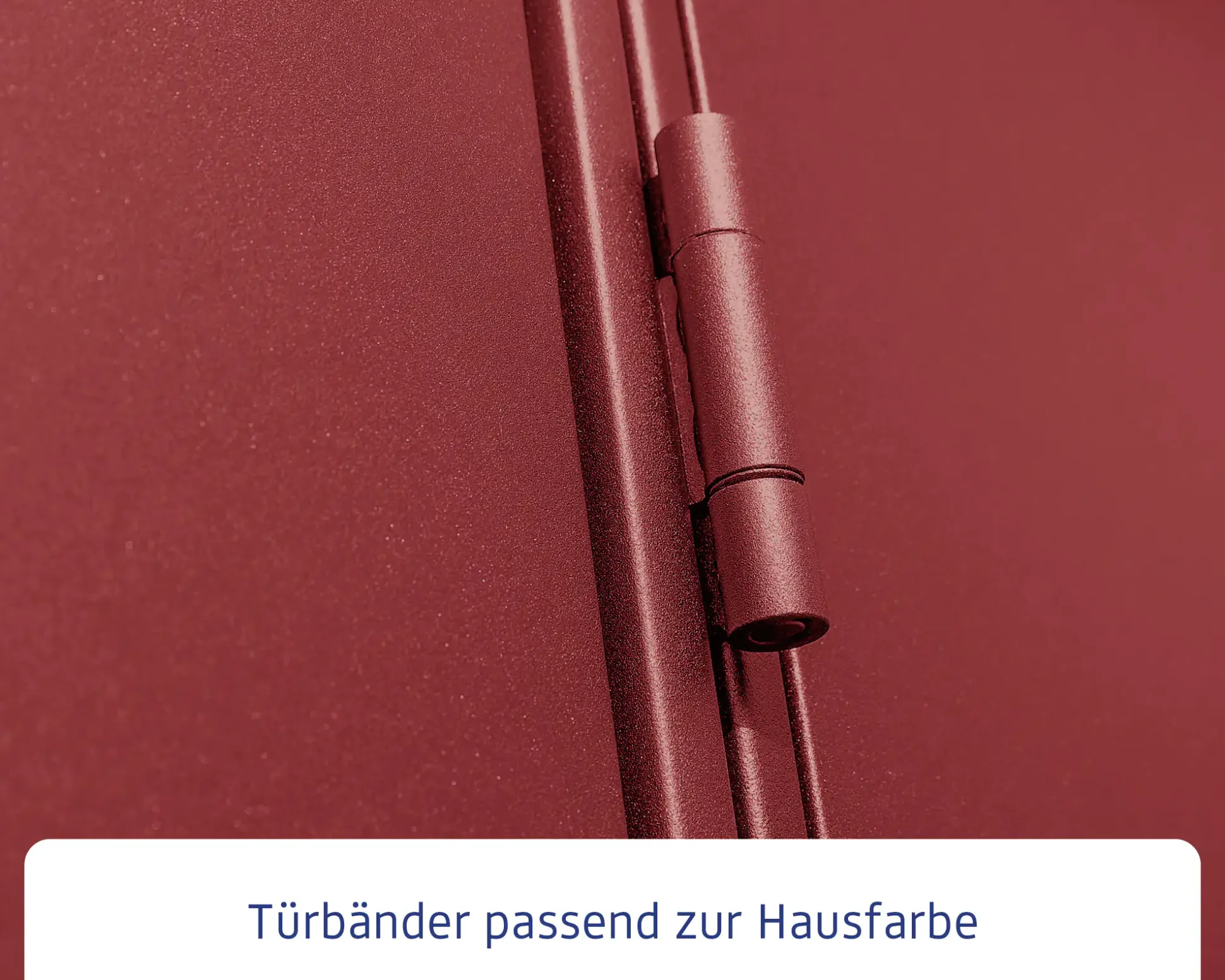 EcoStar Gerätehaus Elegant-P Typ 2 purpurrot 247,9 x 283,4 x 232,3 cm
